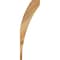 Ekena Millwork 4"W x 6"D x 18"H Thorton Rough Sawn Knee Brace, Western Red Cedar BRC04X06X18THR00RWR - alternate 2